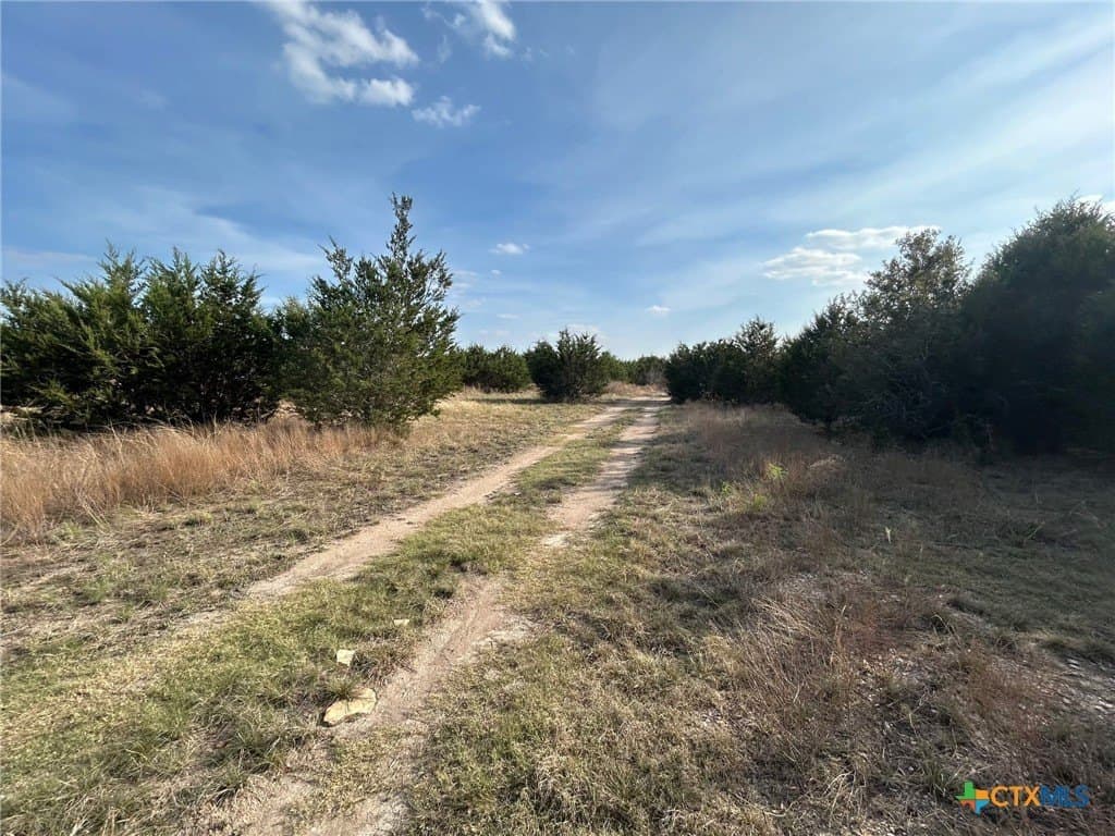 11 acres in Coryell County - photo 12
