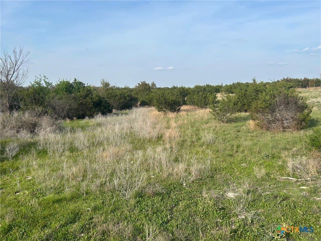 11 acres in Coryell County - photo 13
