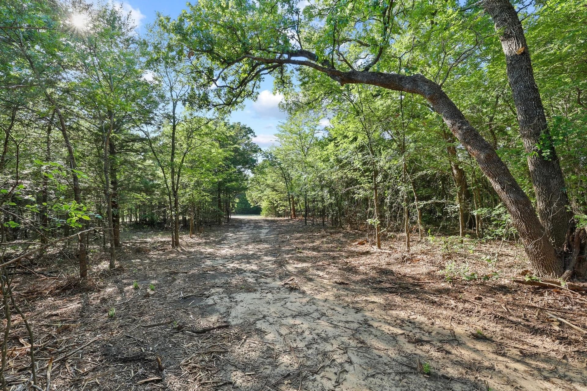15.46 acres in Cooke County - photo 8