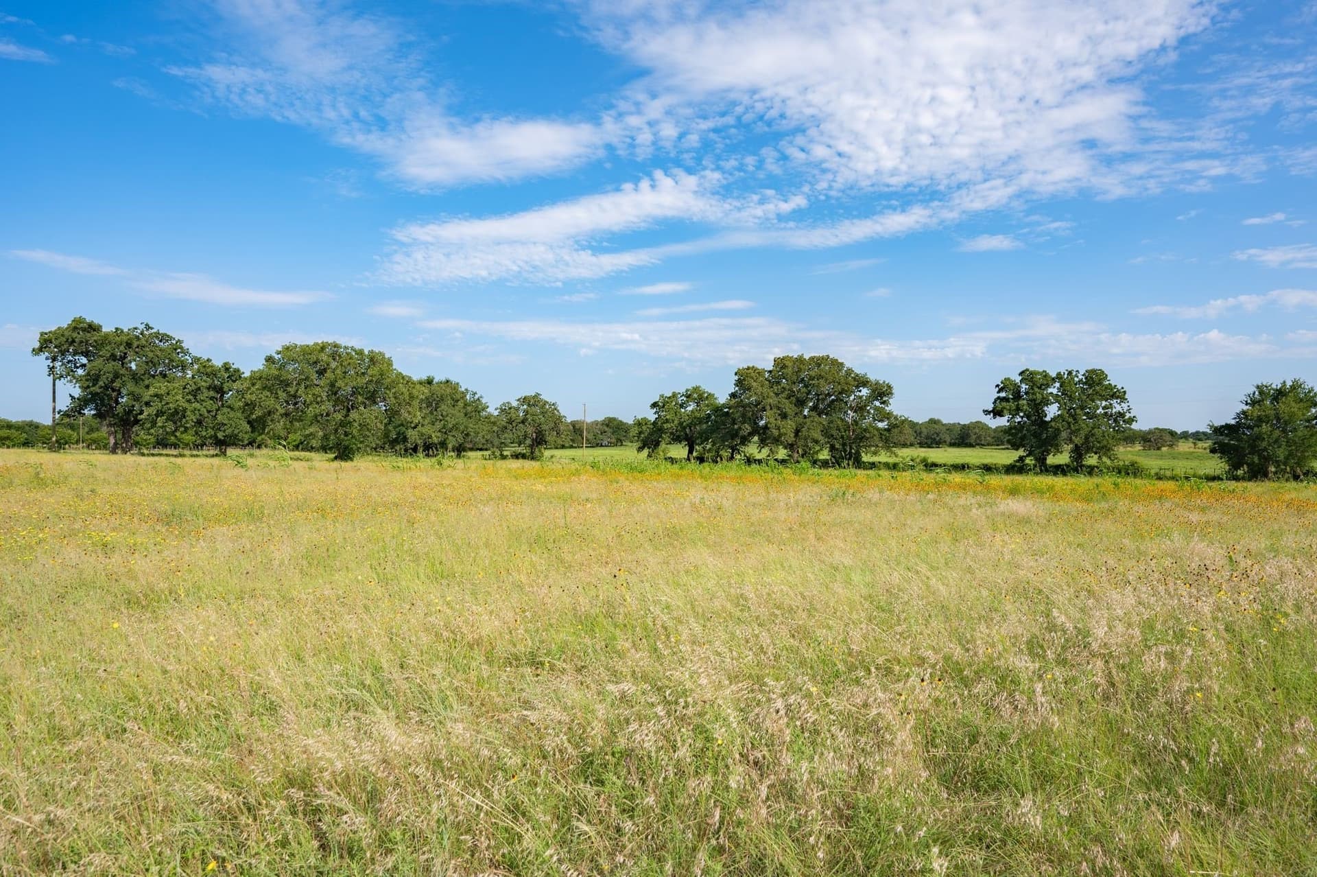 17.45 acres in Palo Pinto County - photo 38
