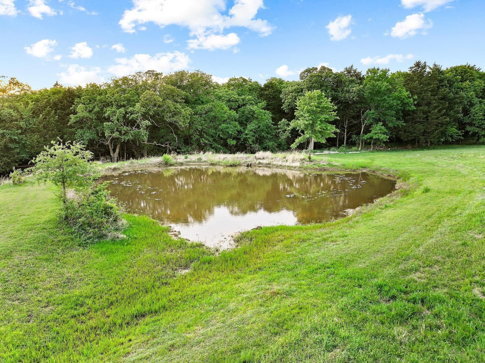 25 acres in Grayson County - photo 30