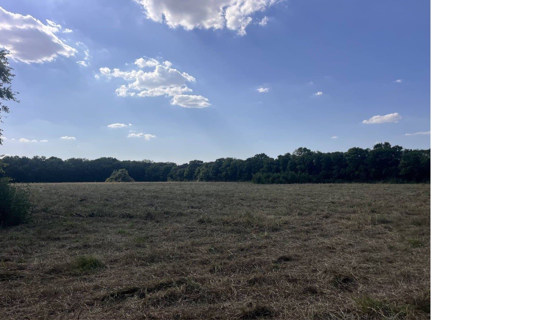 19.65 acres in Dallas County - photo 2