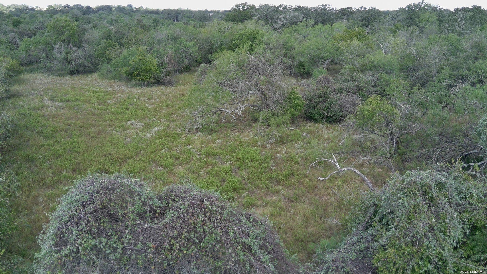 39.84 acres in Guadalupe County - photo 9