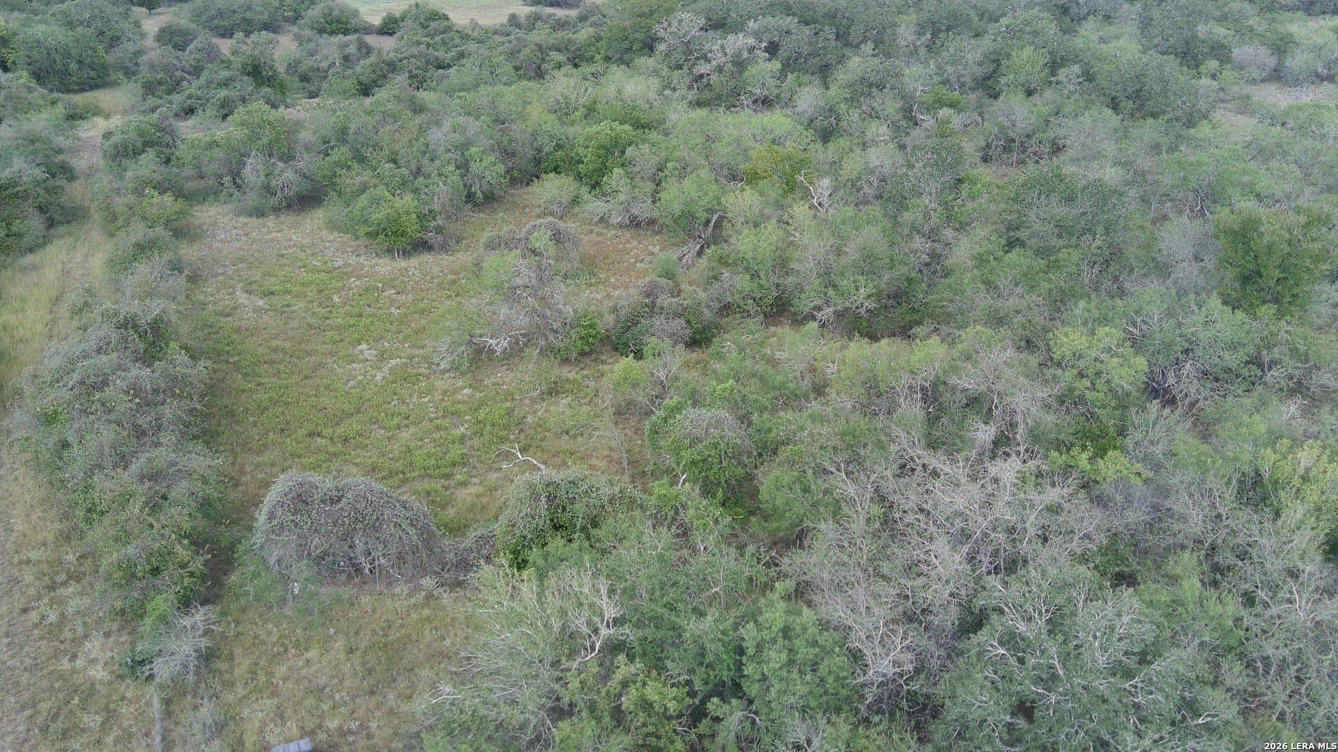39.84 acres in Guadalupe County - photo 11