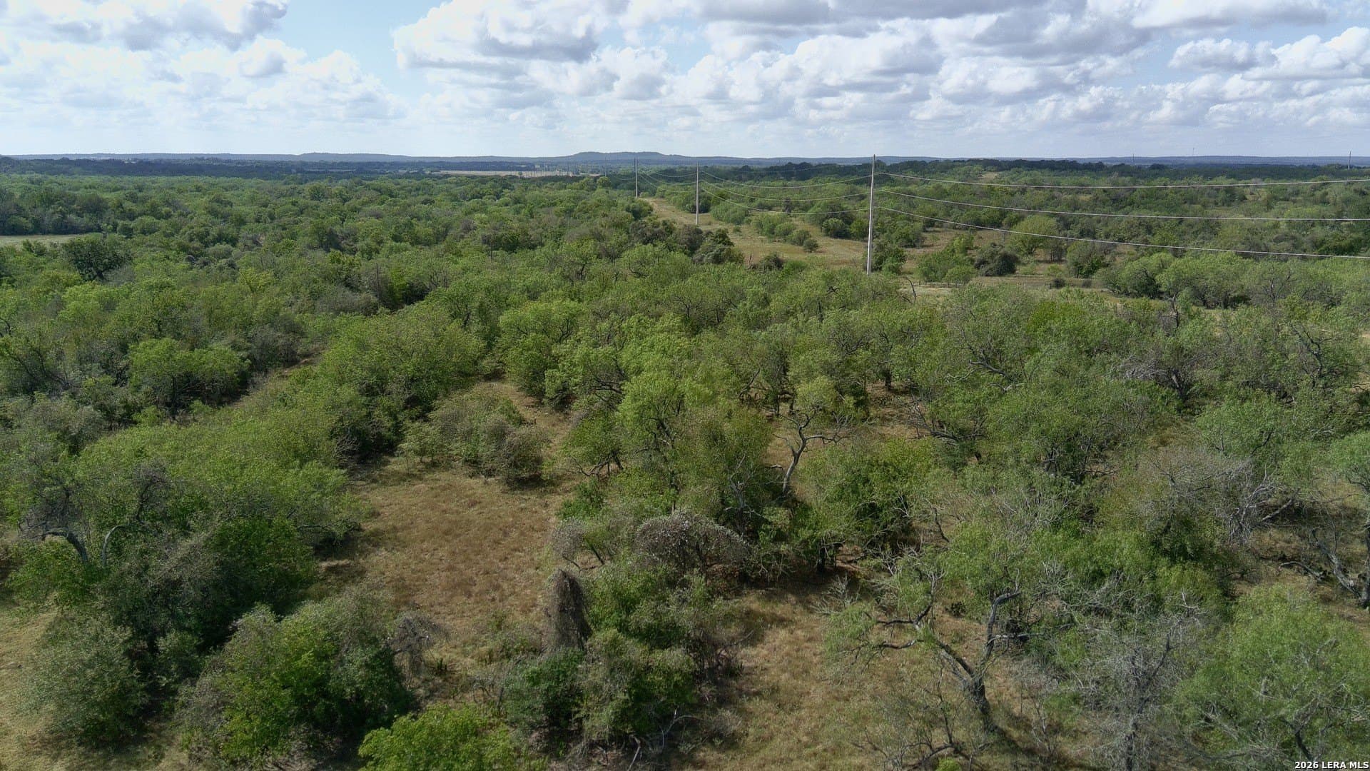 39.84 acres in Guadalupe County gallery image 3