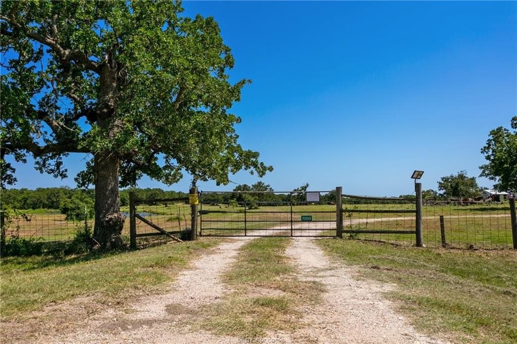 75 acres in Brazos County gallery image 2