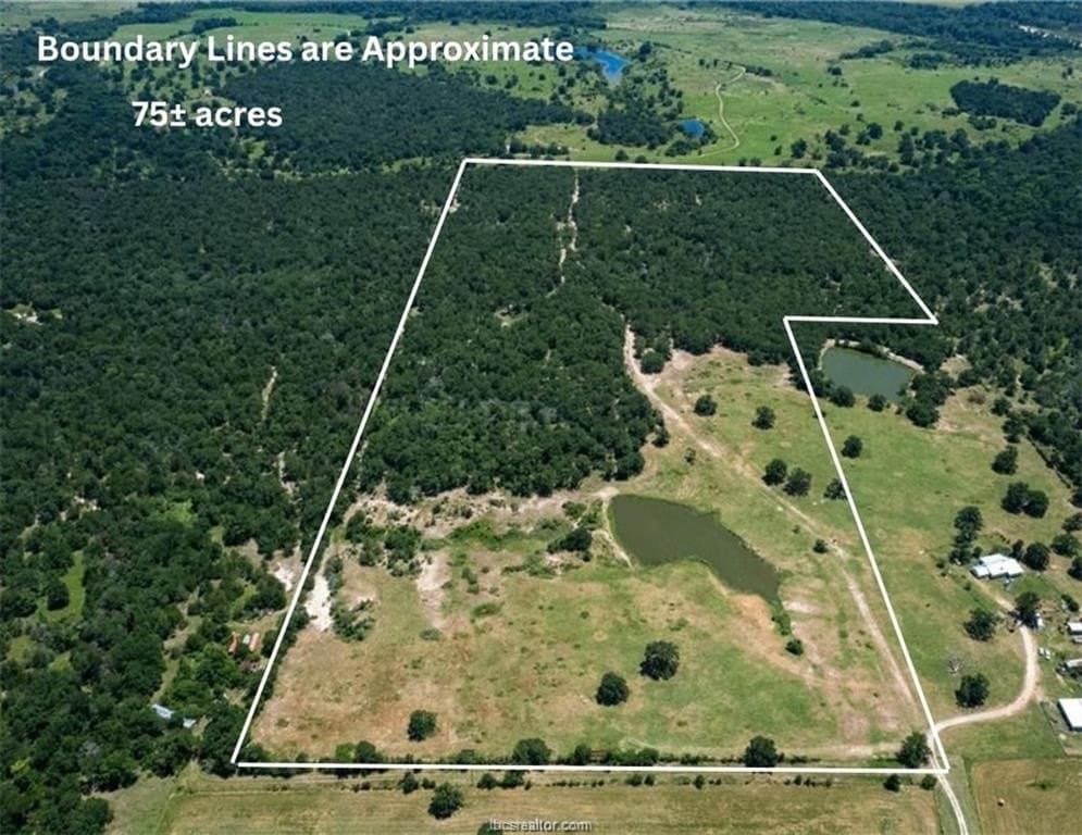 75 acres in Brazos County