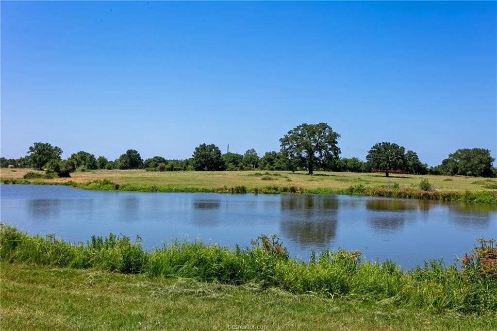 75 acres in Brazos County featured view