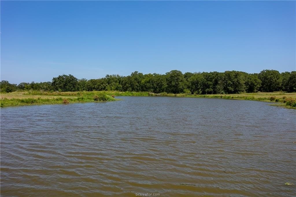 75 acres in Brazos County gallery image 4