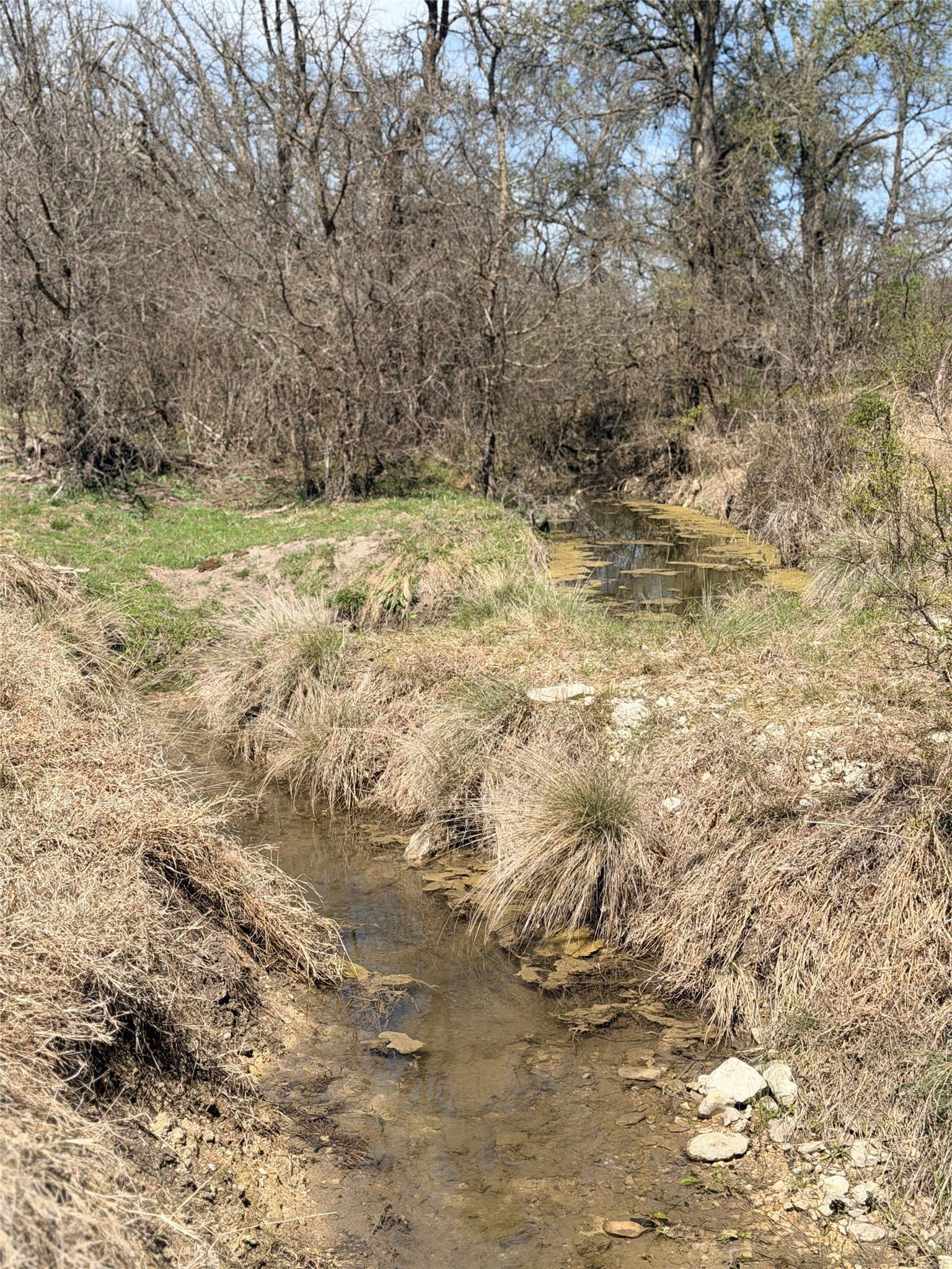 20.8 acres in Hamilton County - photo 6