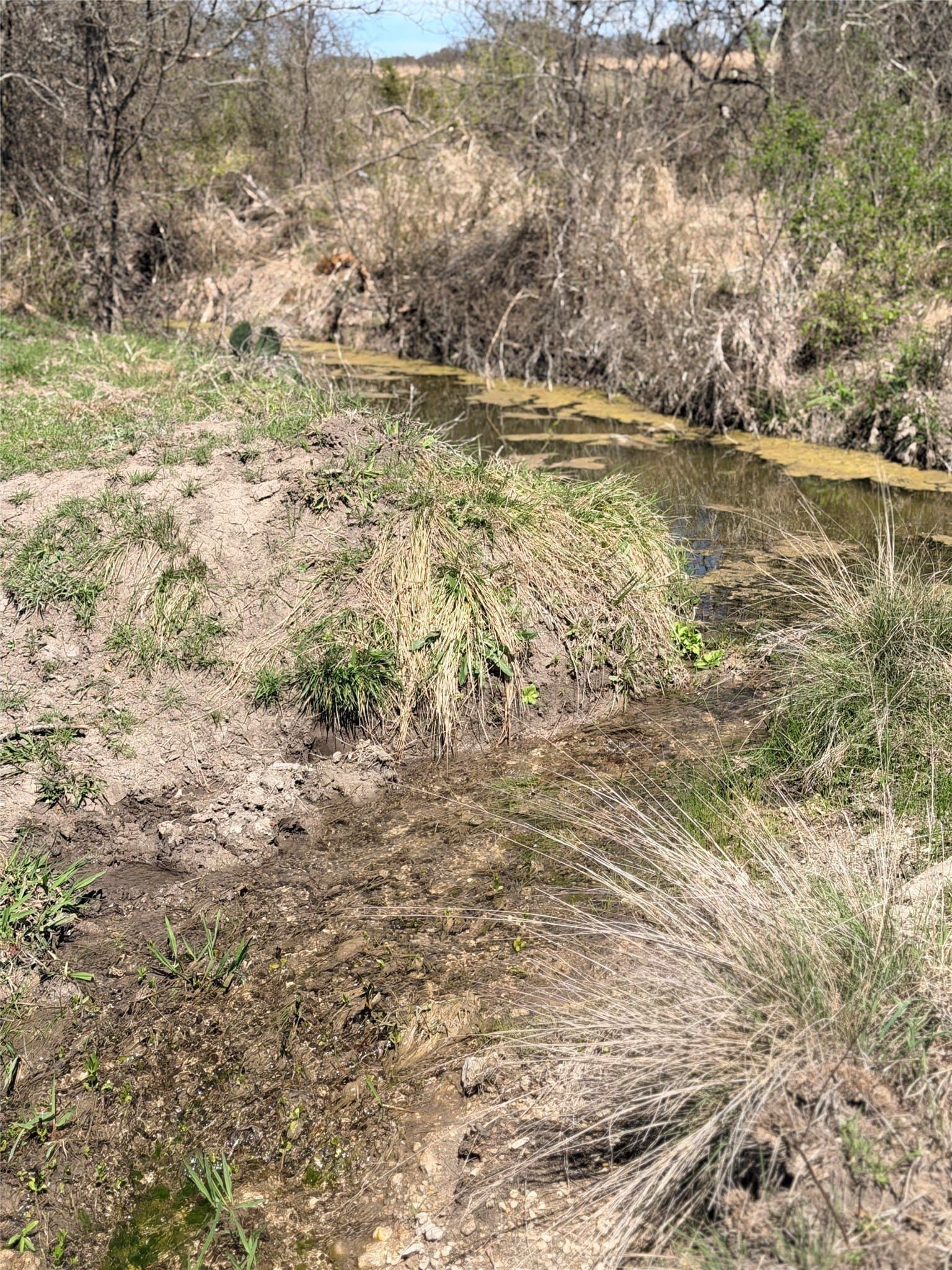 20.8 acres in Hamilton County - photo 3