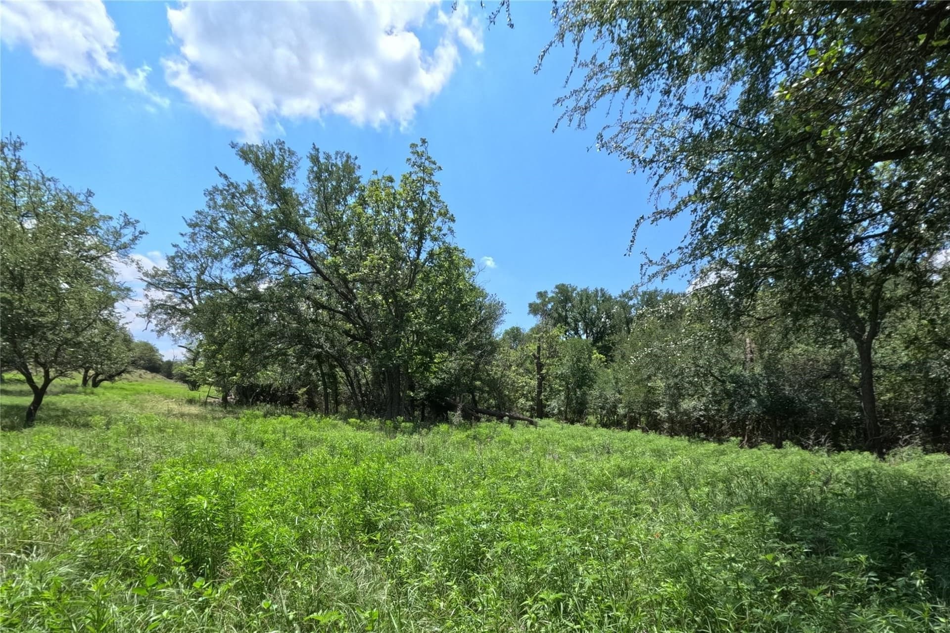 20.8 acres in Hamilton County - photo 5