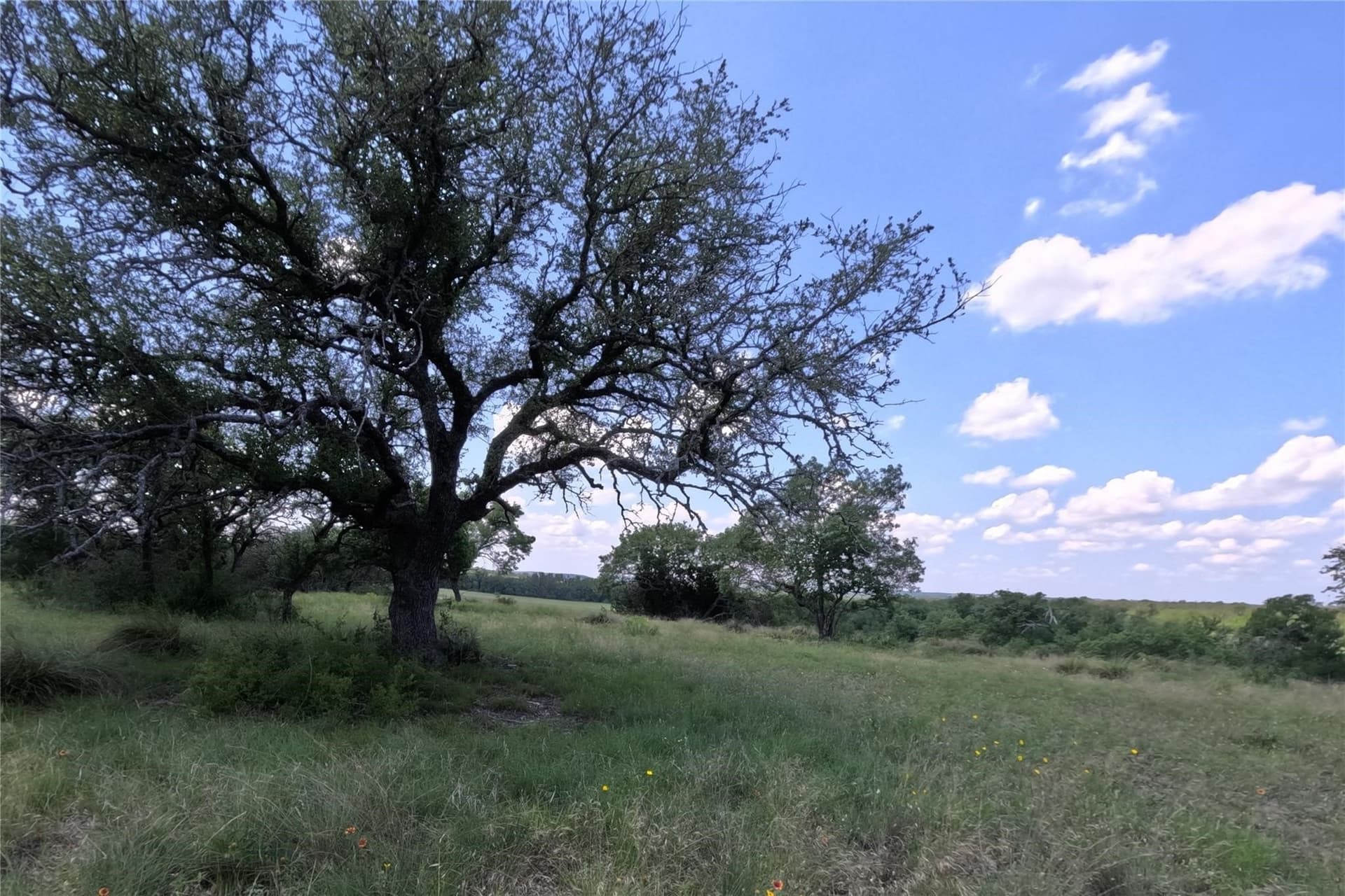 20.8 acres in Hamilton County - photo 11