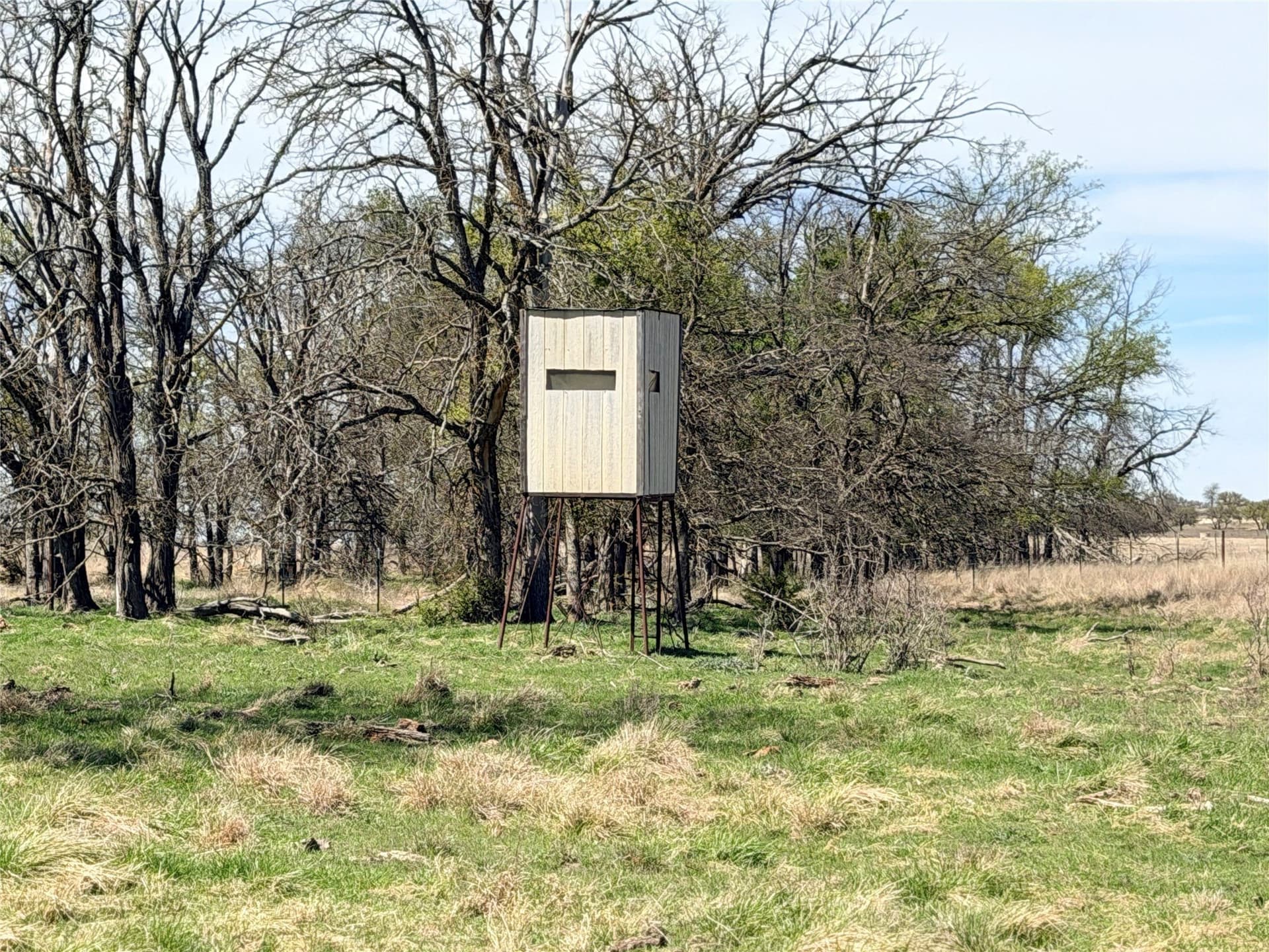 20.8 acres in Hamilton County - photo 4