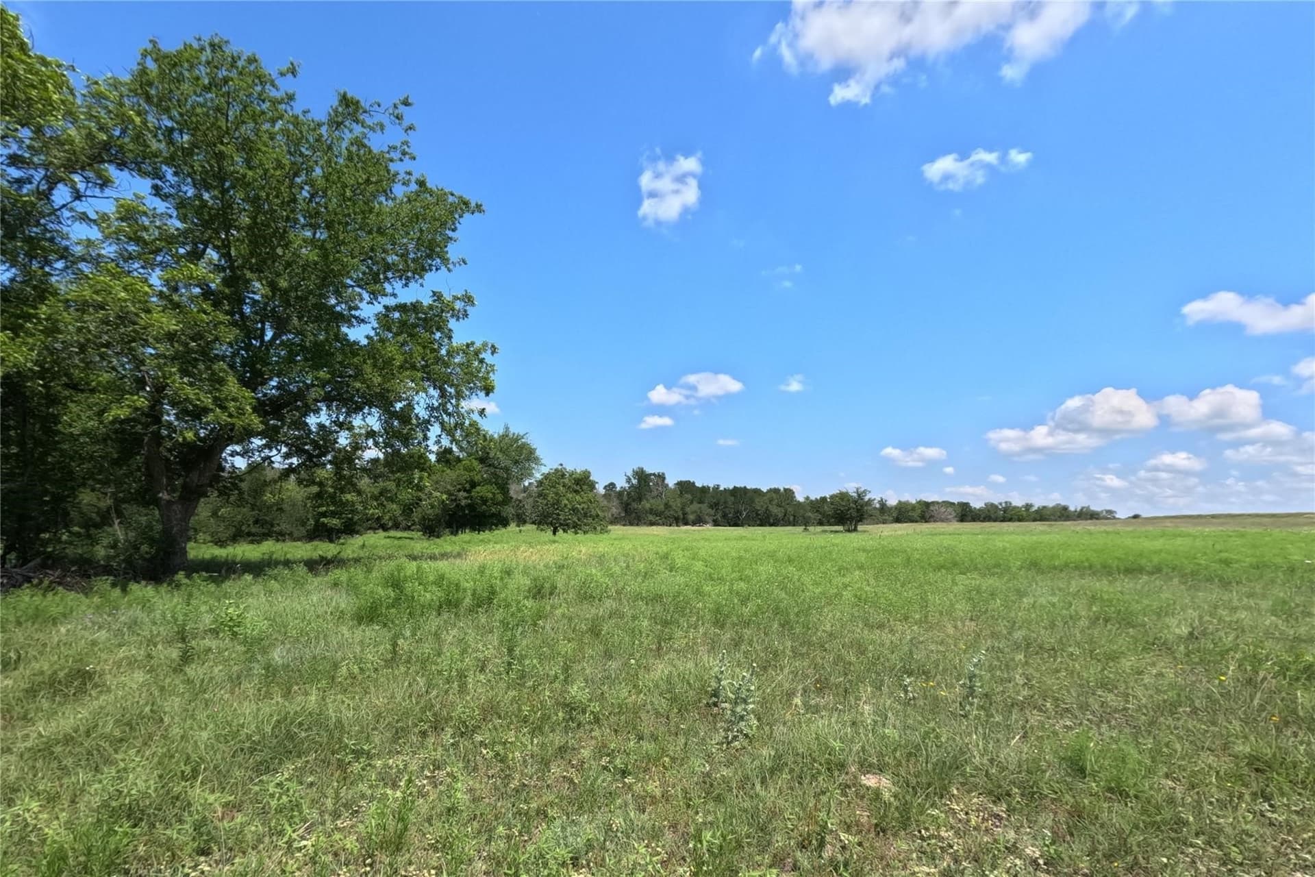 20.8 acres in Hamilton County - photo 9