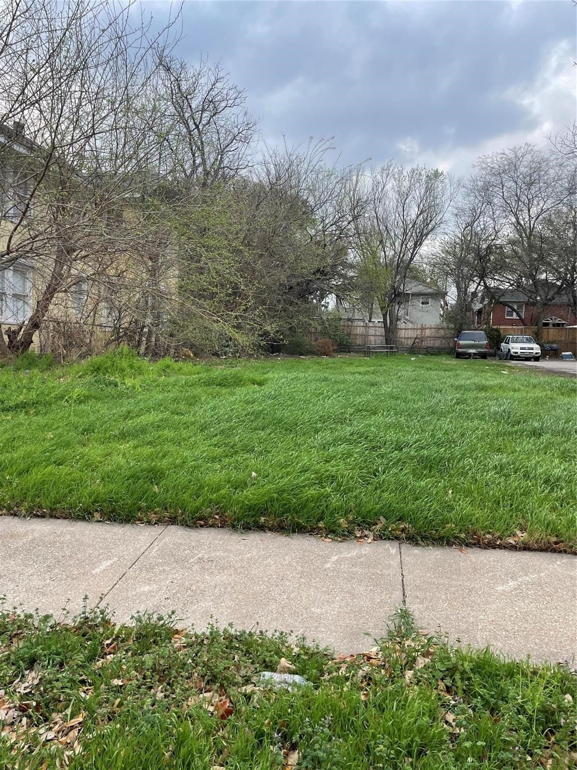 0.16 acres in Dallas County - photo 3