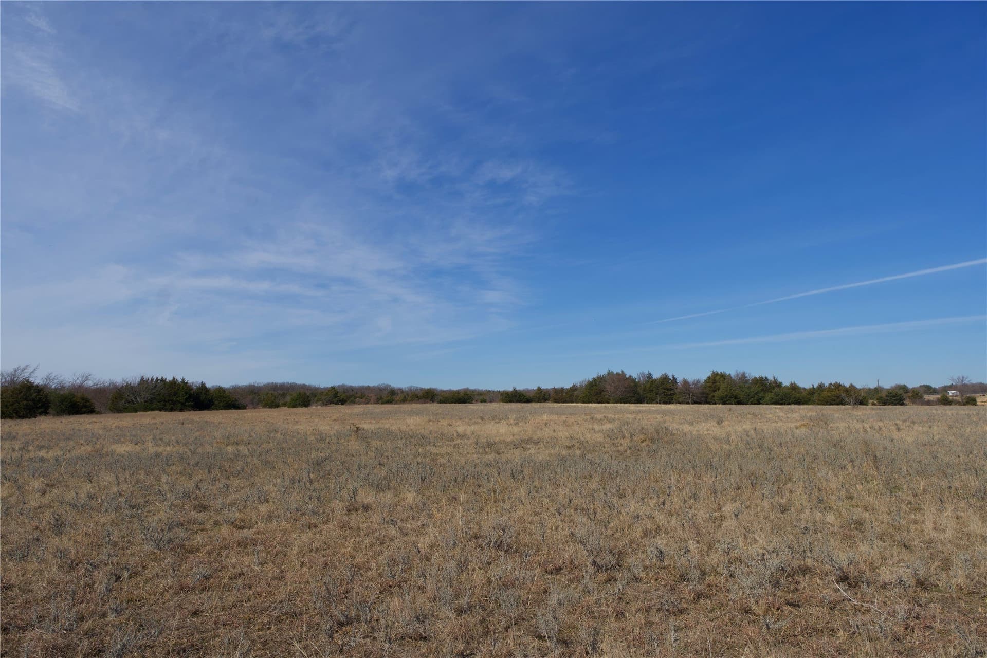 19 acres in Cooke County featured view