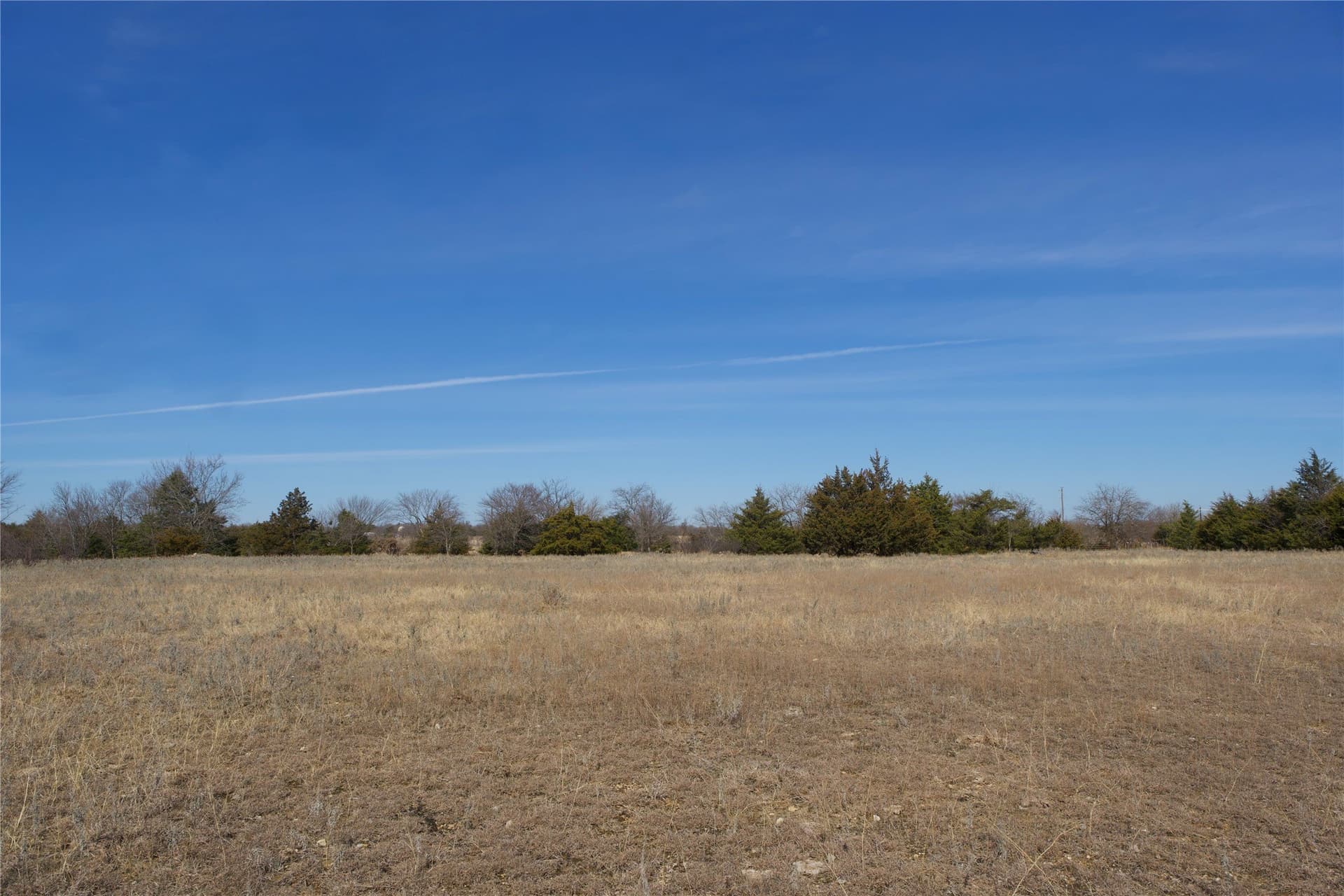 19 acres in Cooke County gallery image 3