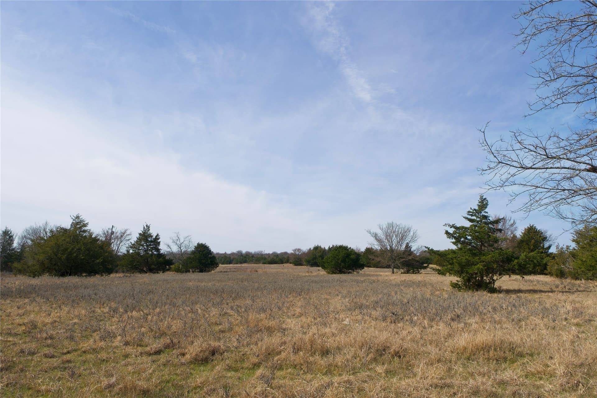 19 acres in Cooke County gallery image 4