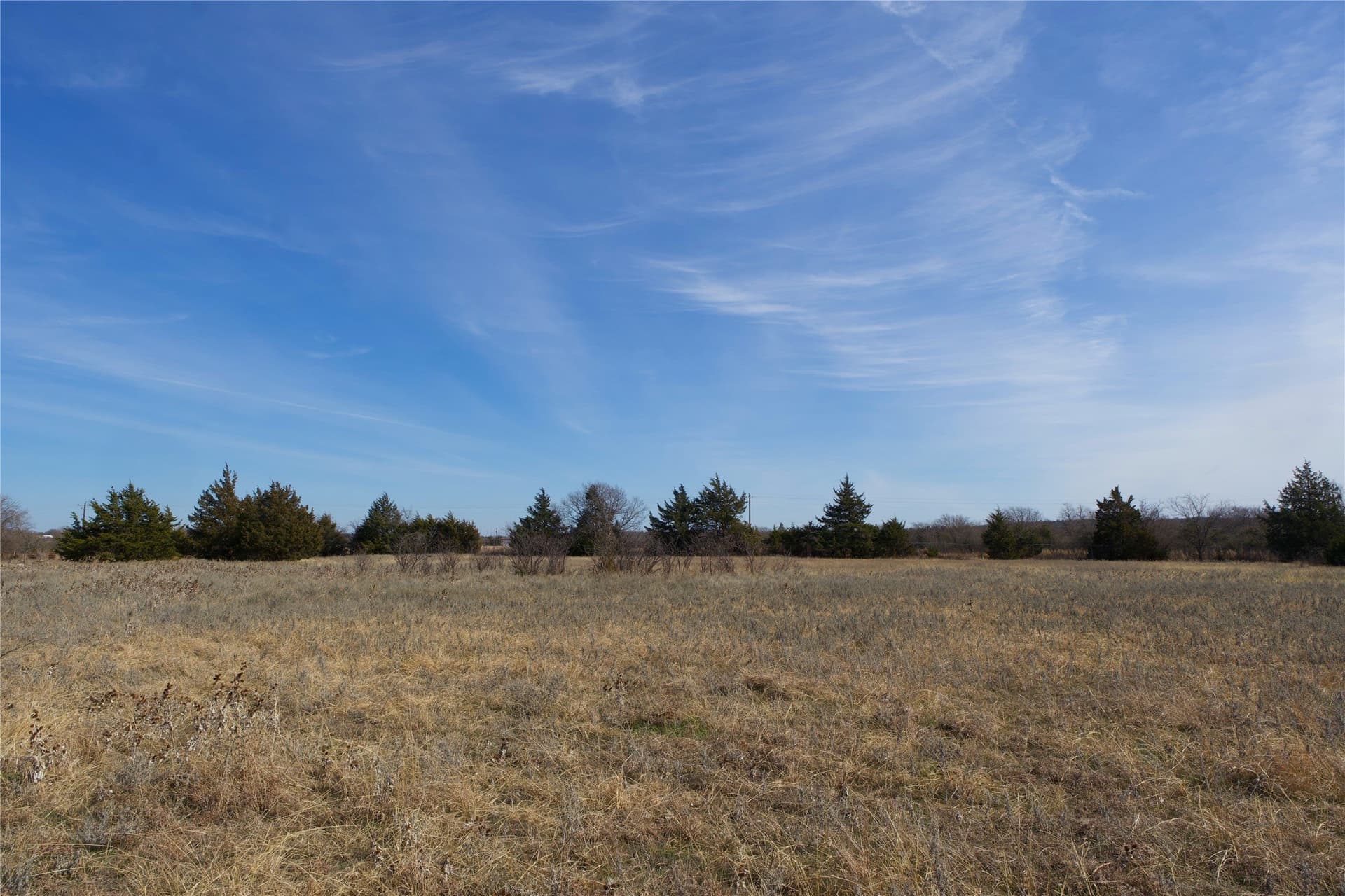 19 acres in Cooke County gallery image 2