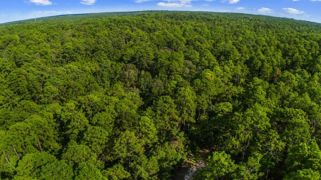 0.53 acres in Texas County - photo 5