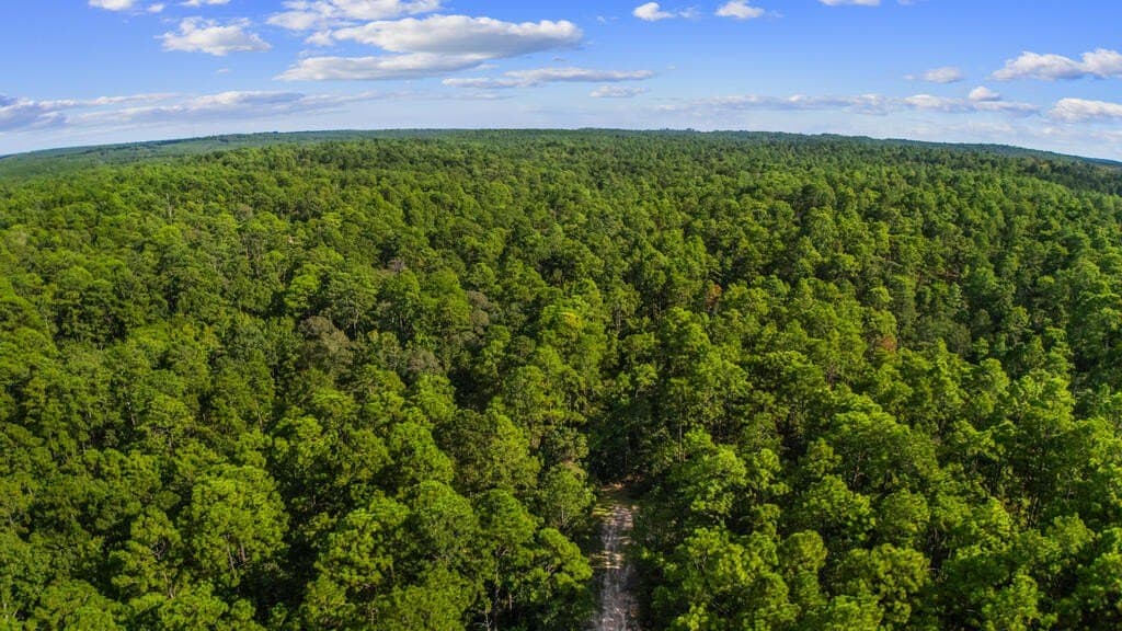 0.53 acres in Texas County - photo 4