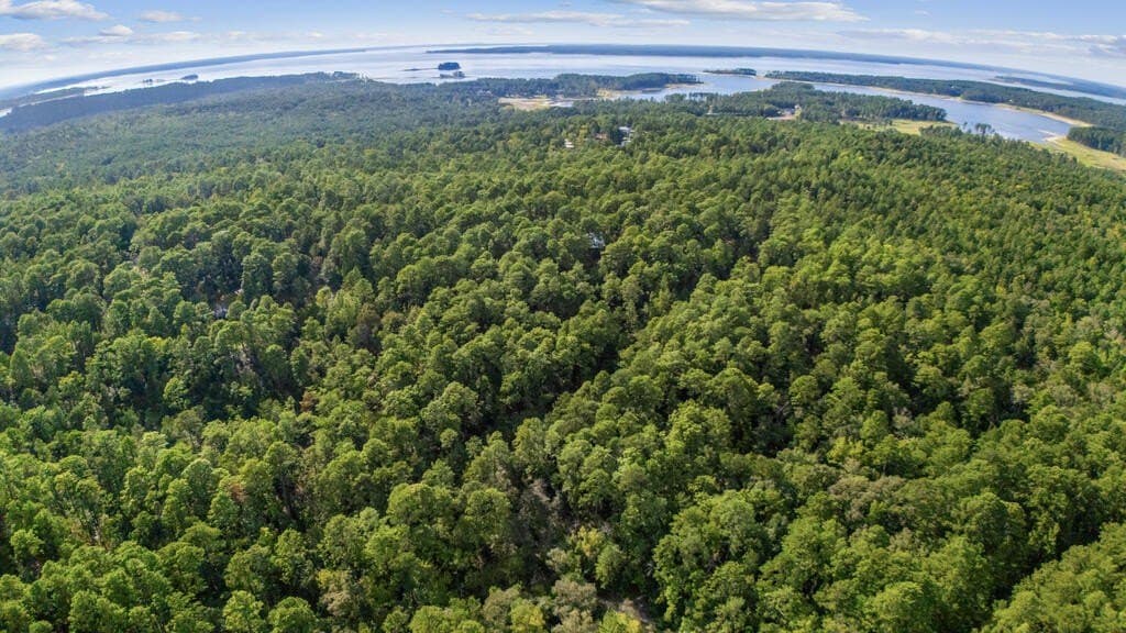 0.53 acres in Texas County - photo 3