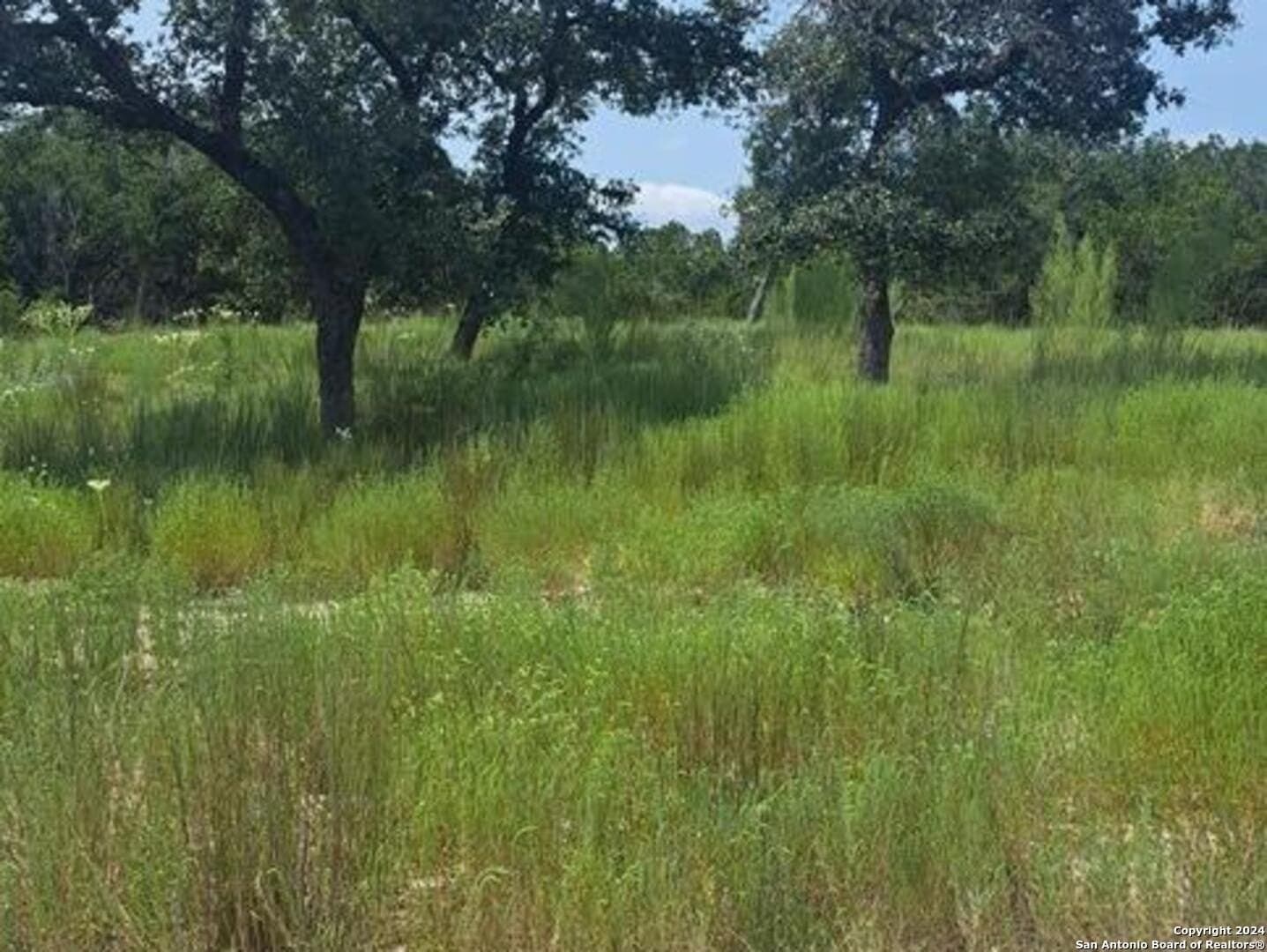 0.02 acres in Comal County - photo 2