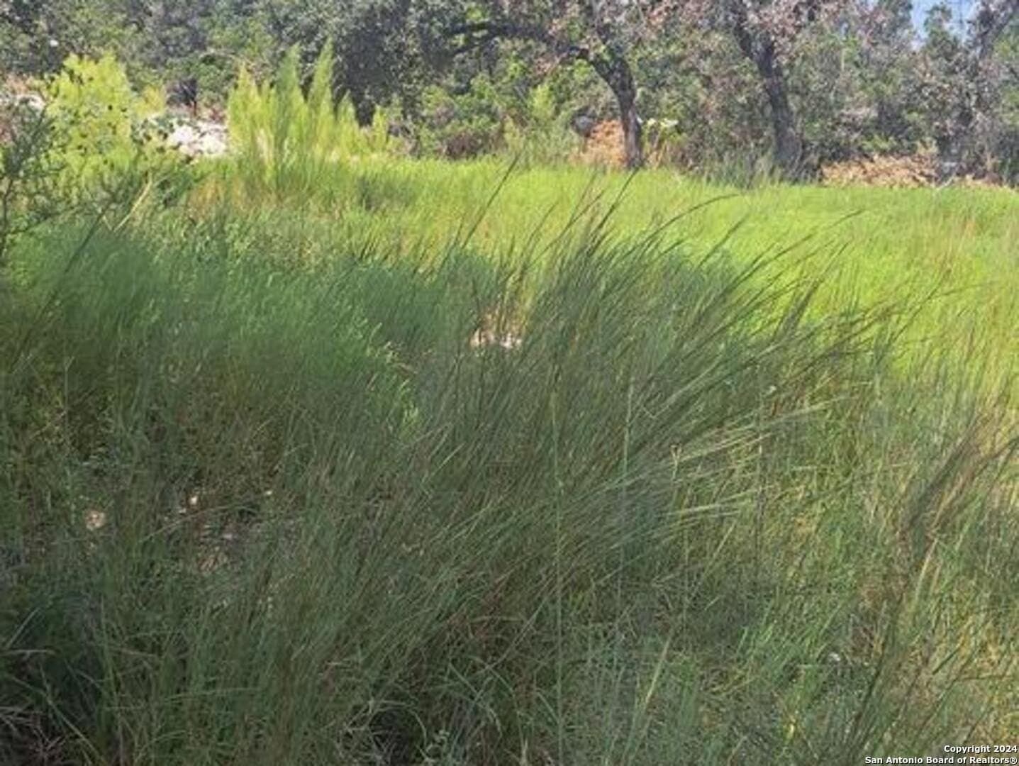 0.02 acres in Comal County - photo 4