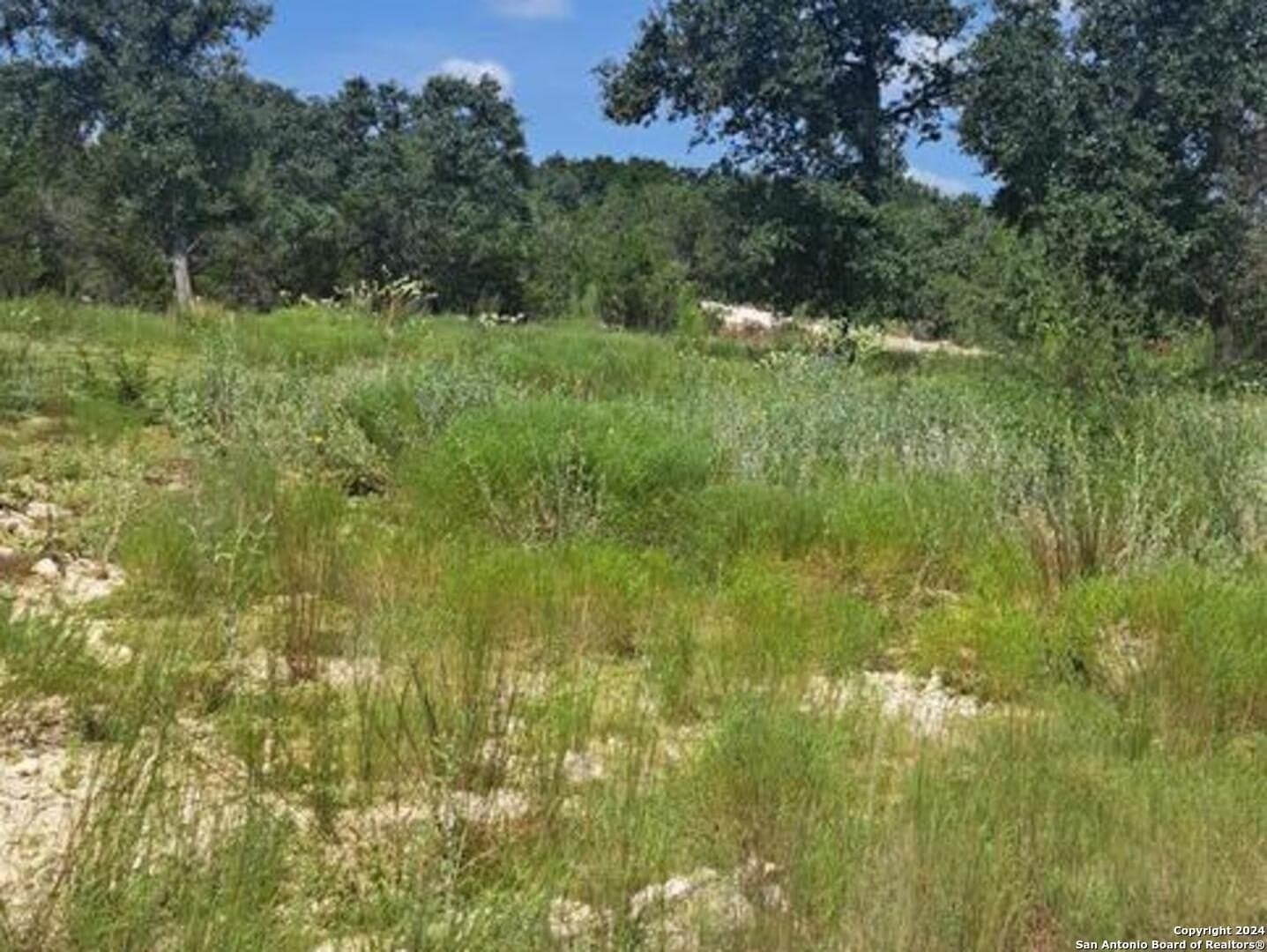 0.02 acres in Comal County - photo 3