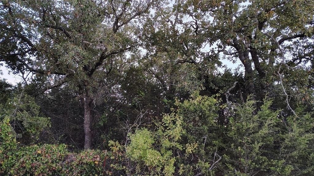 10 acres in Callahan County gallery image 2