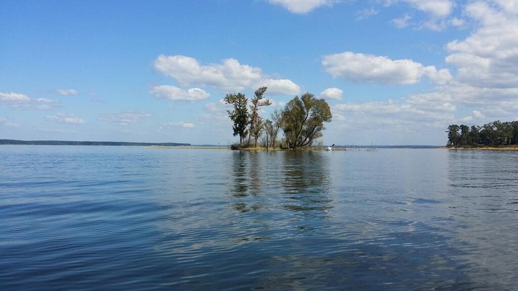 0.5 acres in Texas County - photo 11