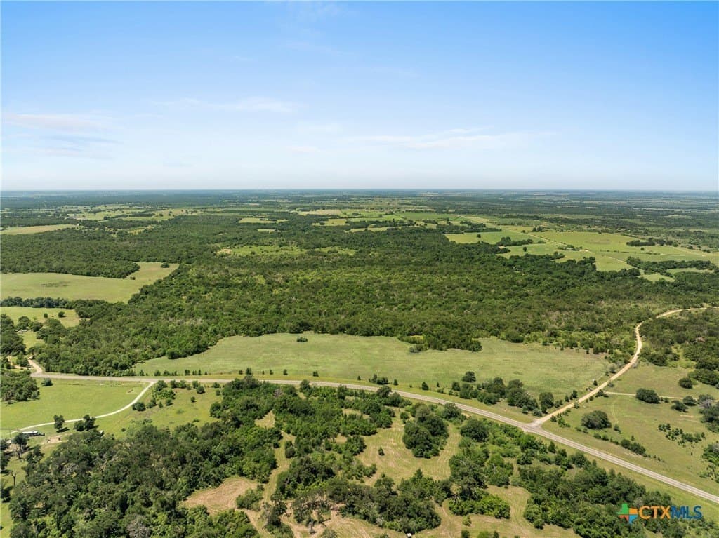 54 acres in Milam County gallery image 2