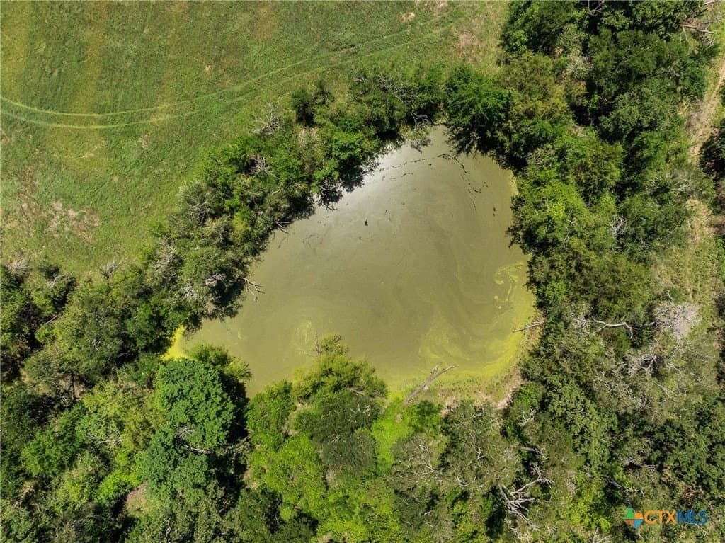 54 acres in Milam County featured view