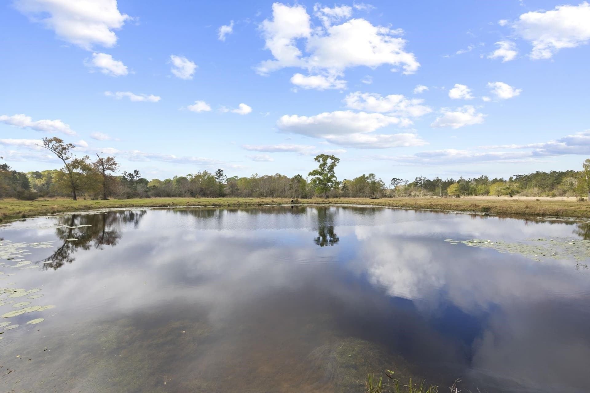 27.96 acres in Texas County - photo 44