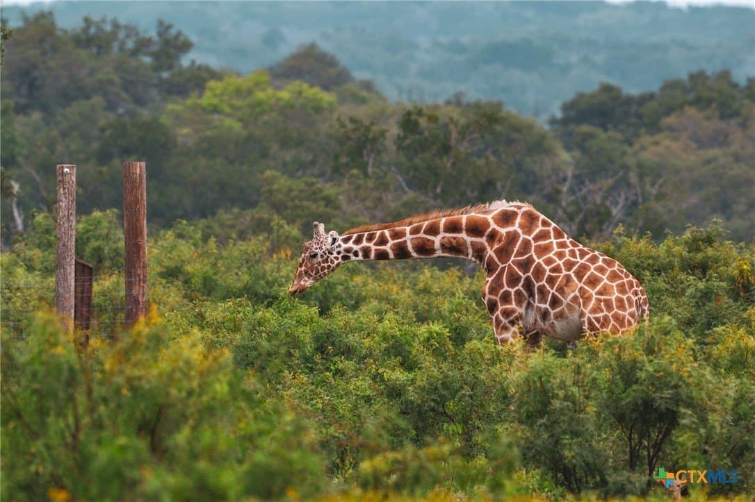 105.21 acres in Kerr County
