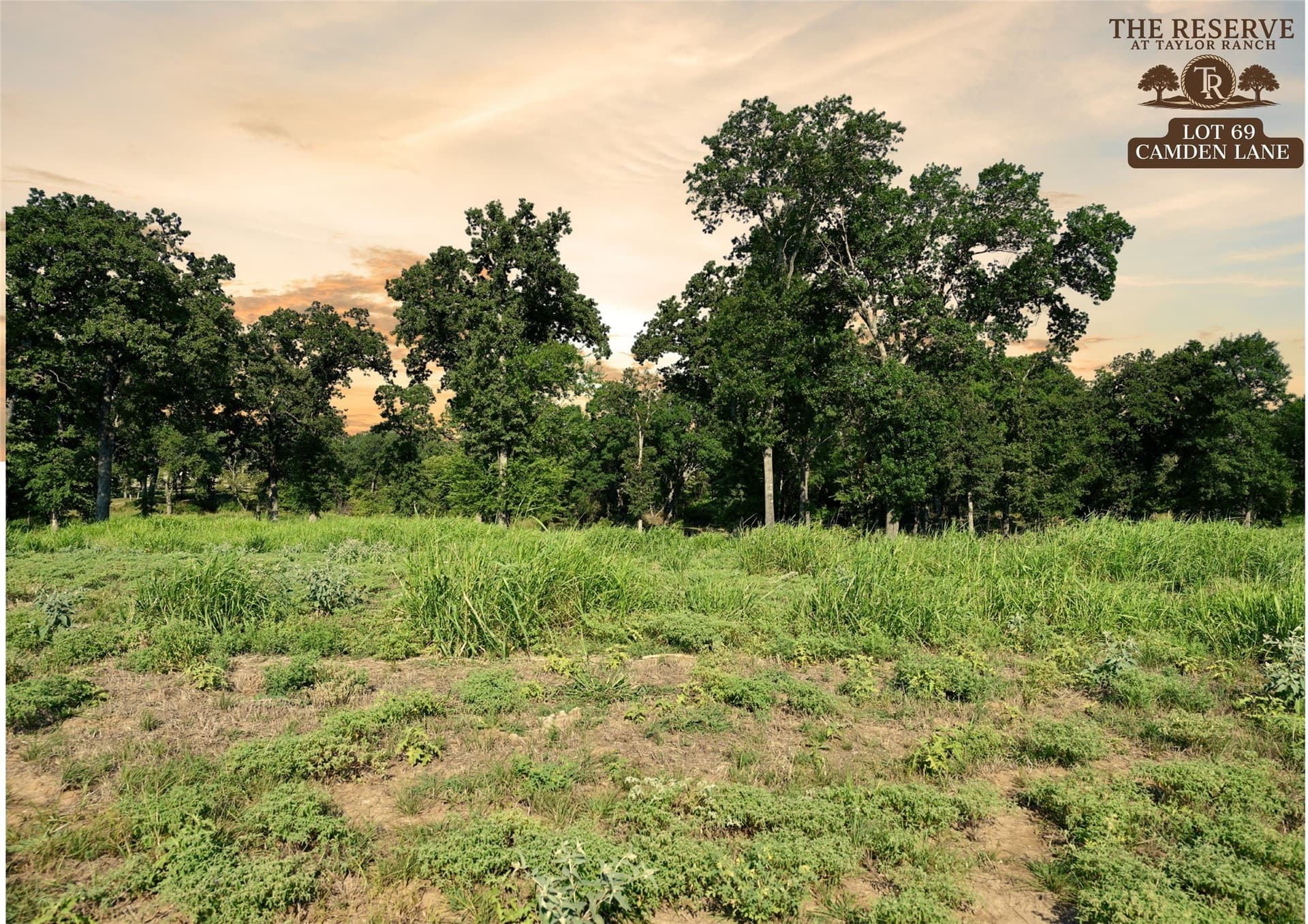 1.85 acres in Parker County gallery image 3