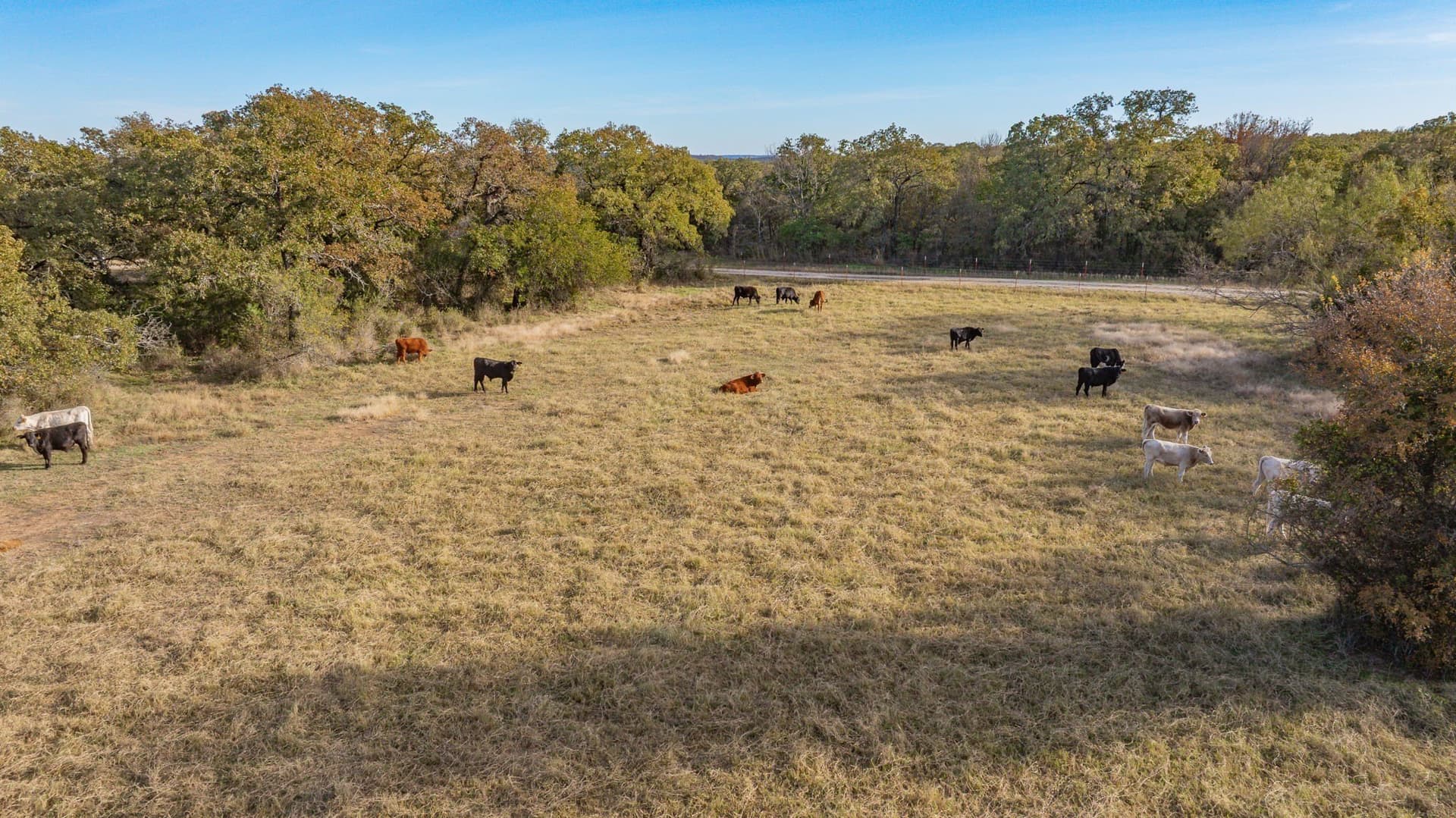 63 acres in Jack County - photo 39