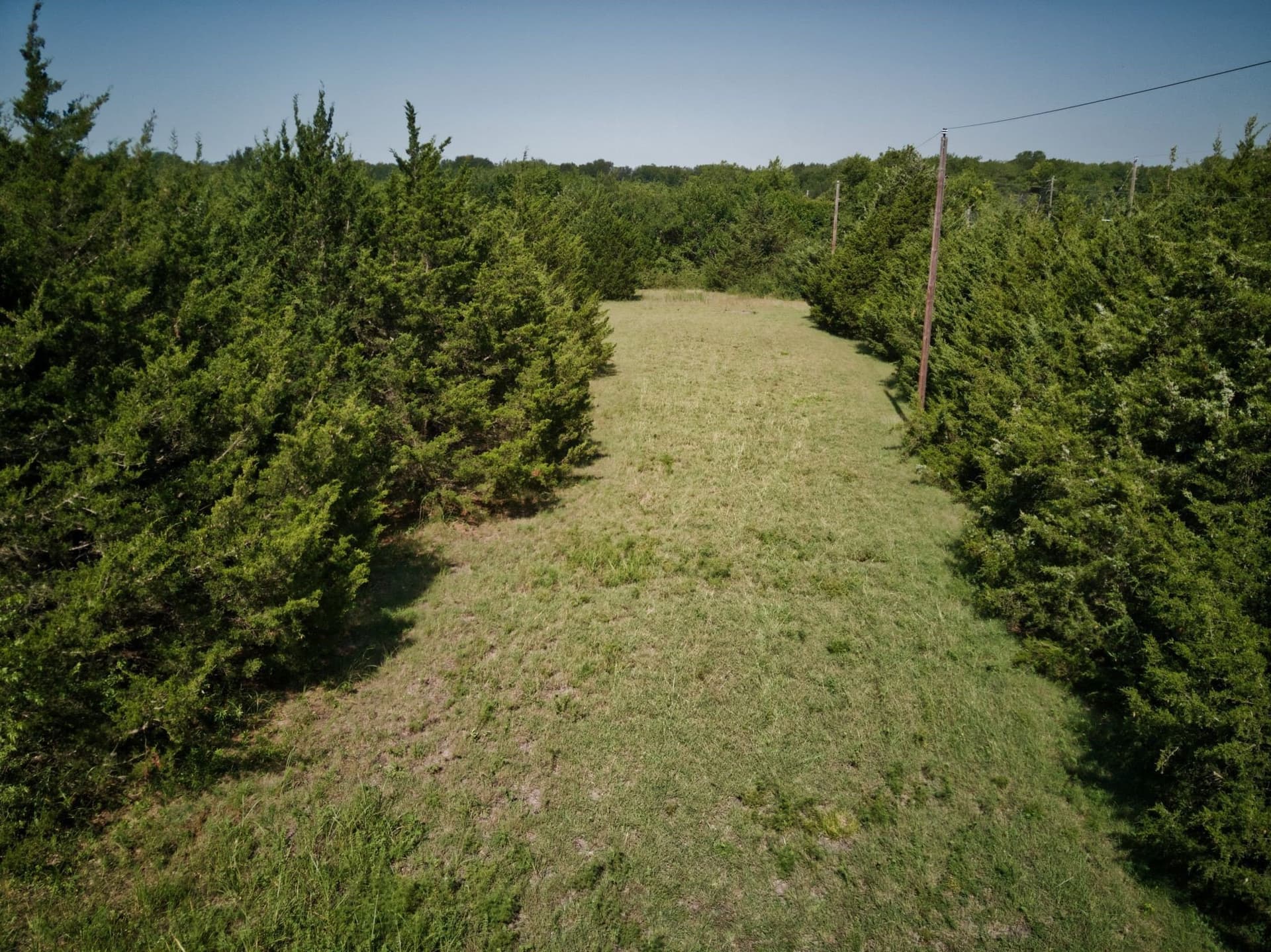 2.06 acres in Fannin County - photo 8