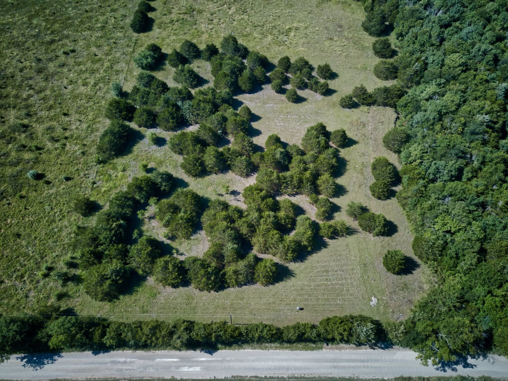 2.06 acres in Fannin County - photo 10
