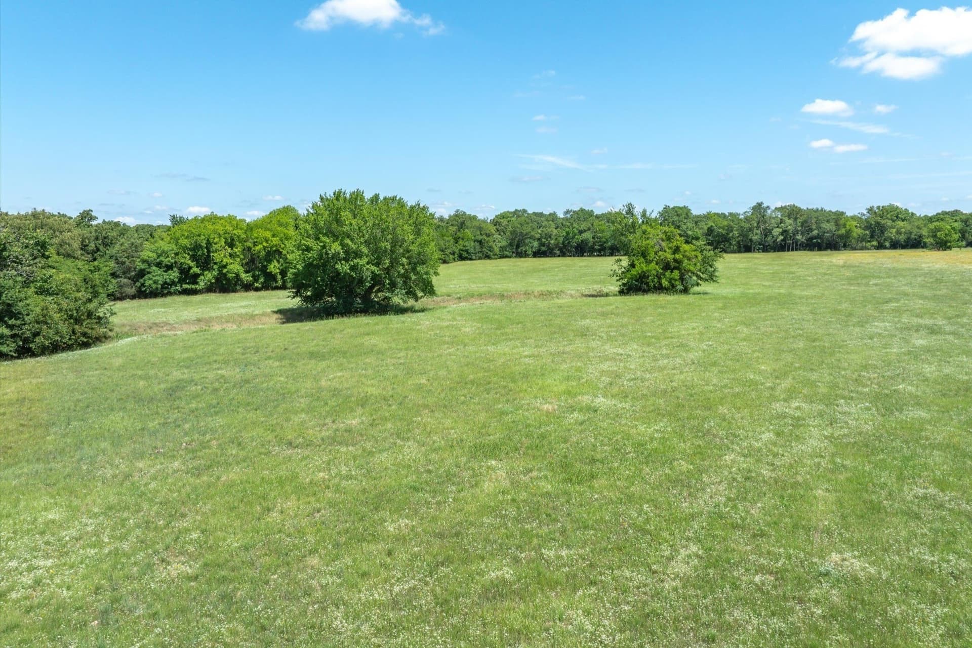 2.37 acres in Rains County - photo 9
