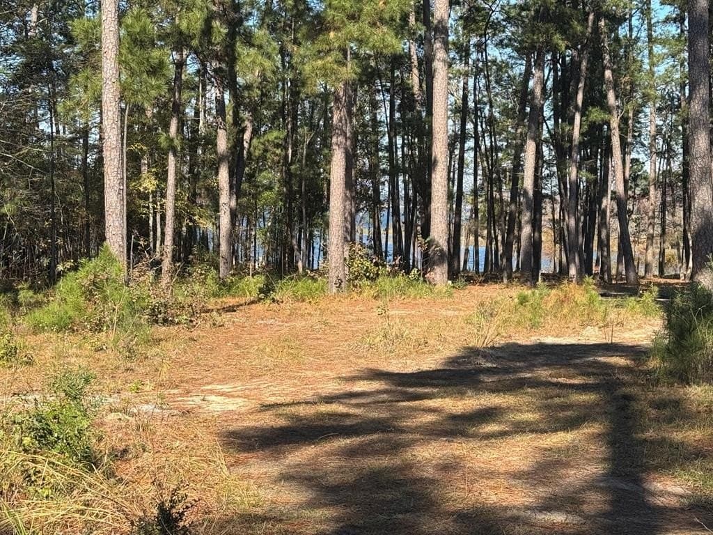 5.07 acres in Texas County gallery image 3