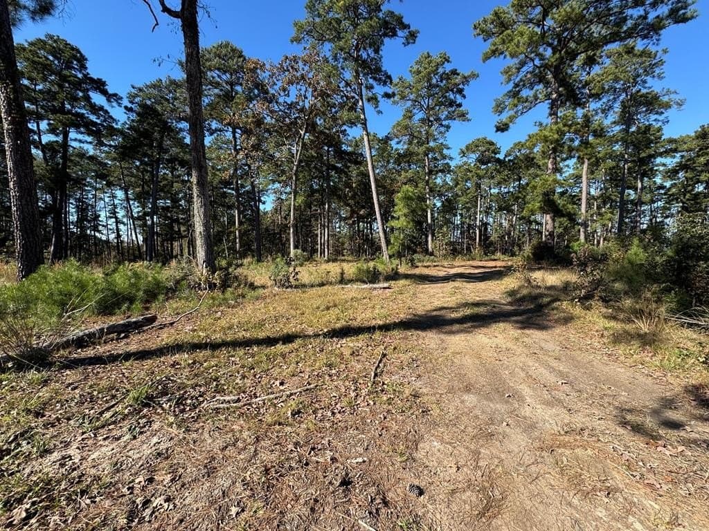 5.07 acres in Texas County featured view