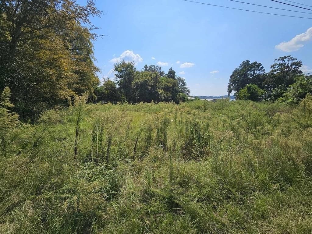 0.75 acres in HENDERSON County gallery image 2