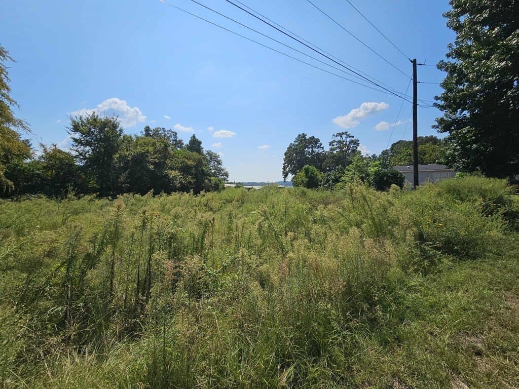 0.75 acres in HENDERSON County - photo 6