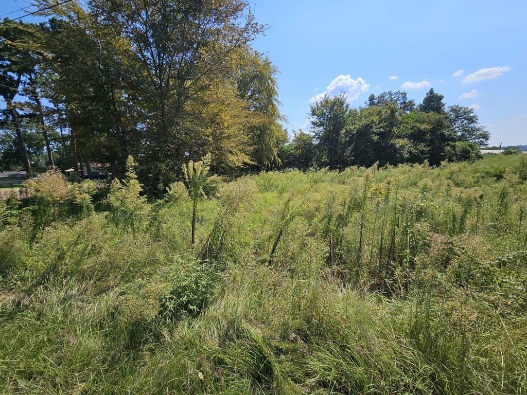 0.75 acres in HENDERSON County - photo 7