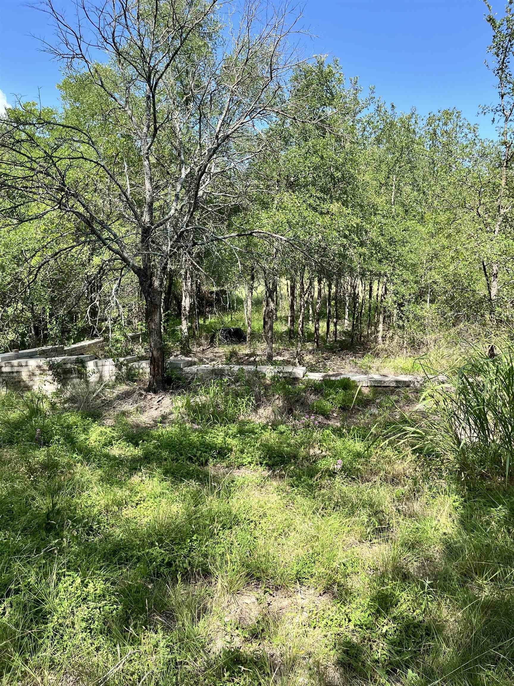 0.36 acres in Burnet County gallery image 2