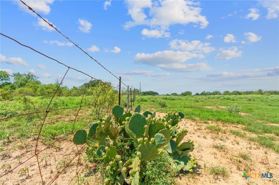 2.25 acres in Gonzales County - photo 3