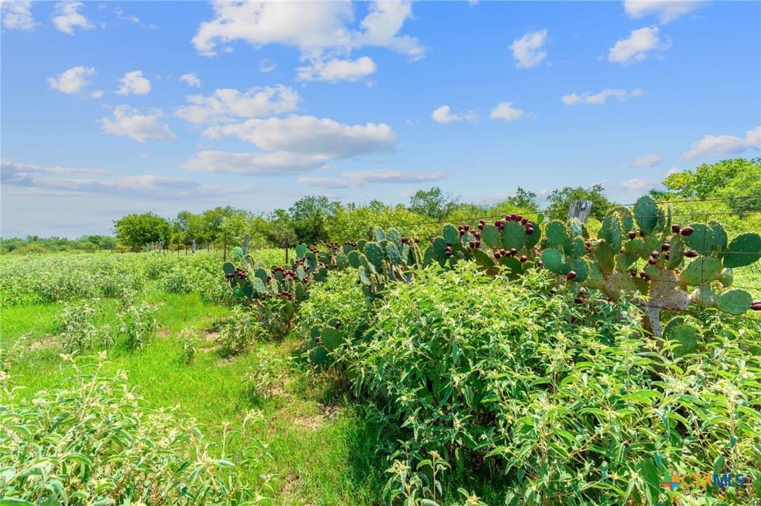 2.25 acres in Gonzales County - photo 7