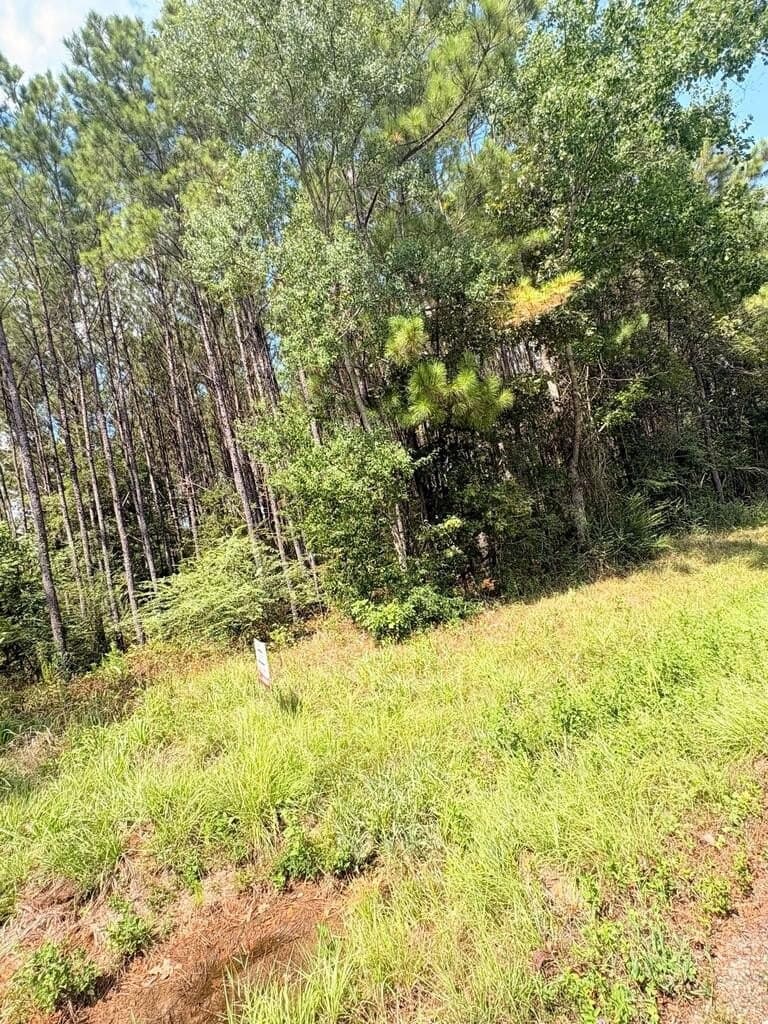 12 acres in Texas County - photo 7
